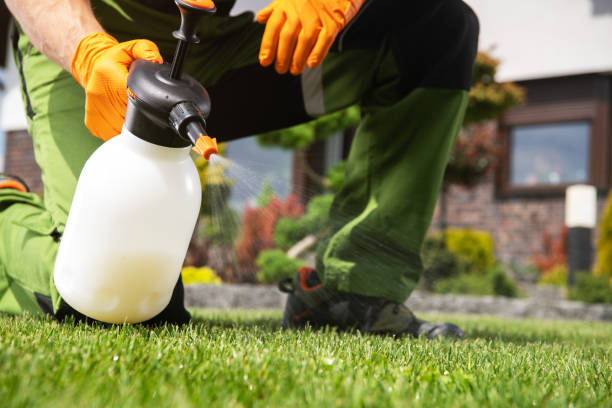 Best Best Pest Control Companies  in Salineville, OH