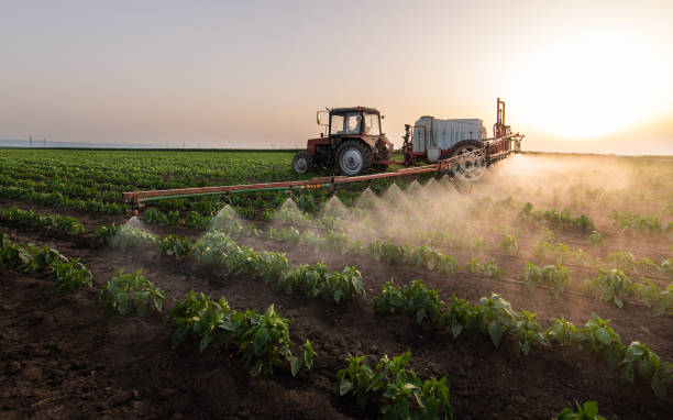 Best Mosquito Control Services  in Salineville, OH