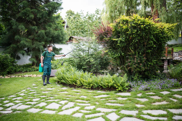 Best Residential Pest Control  in Salineville, OH