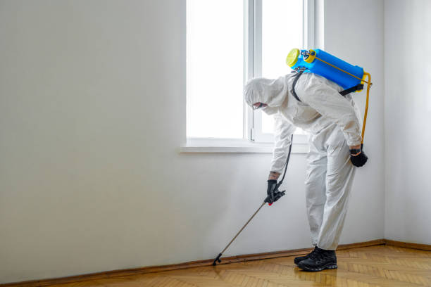 Best Affordable Pest Control Services  in Salineville, OH