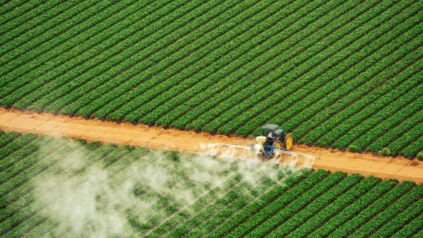 Best Ant Control Services  in Salineville, OH