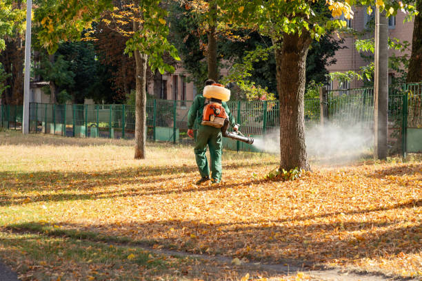 Reliable Salineville, OH Pest Control Solutions