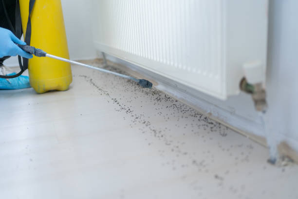 Best Pest Removal Services  in Salineville, OH